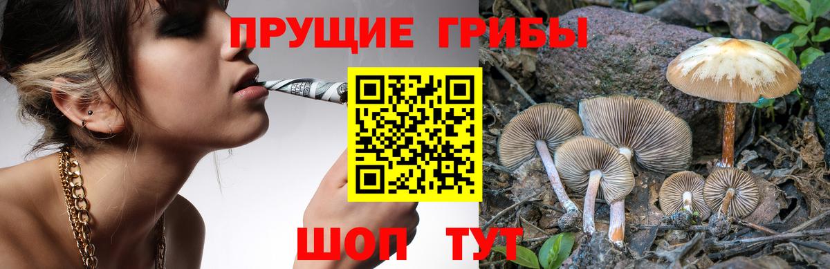 Городец  Псилоцибиновые грибы Psilocybe  Вход с VPN  Псилоцибиновые грибы GOLDEN TEACHER 